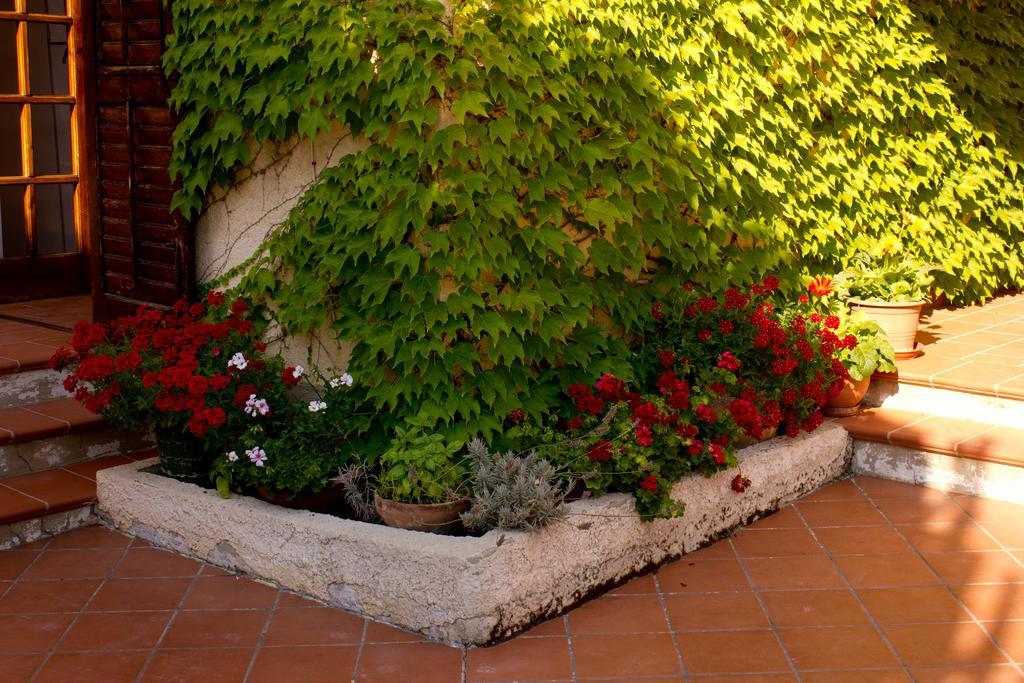 Casa Del Falso Pepe - Scala Dei Turchi Realmonte Exterior photo